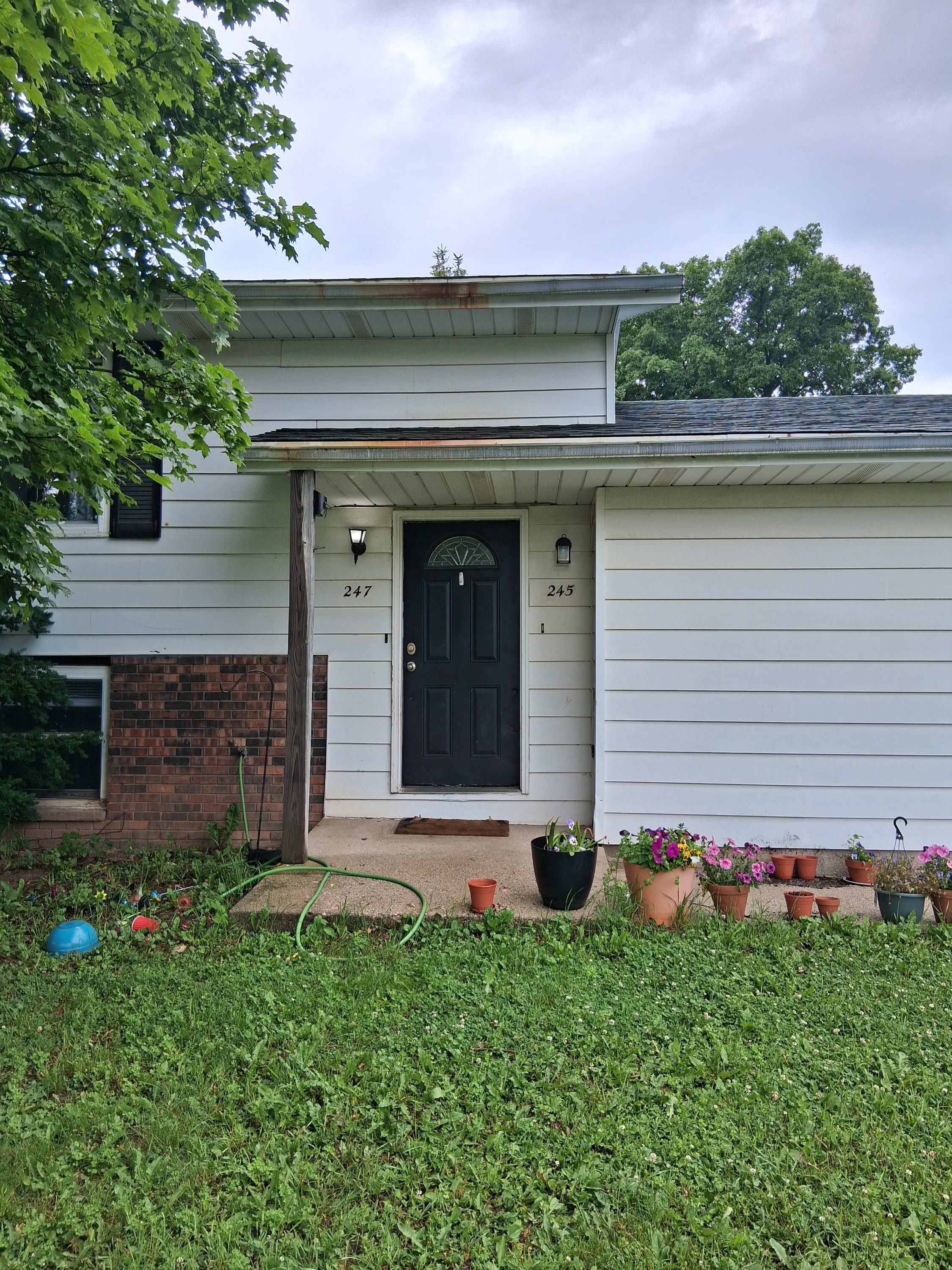 245 Egan Street